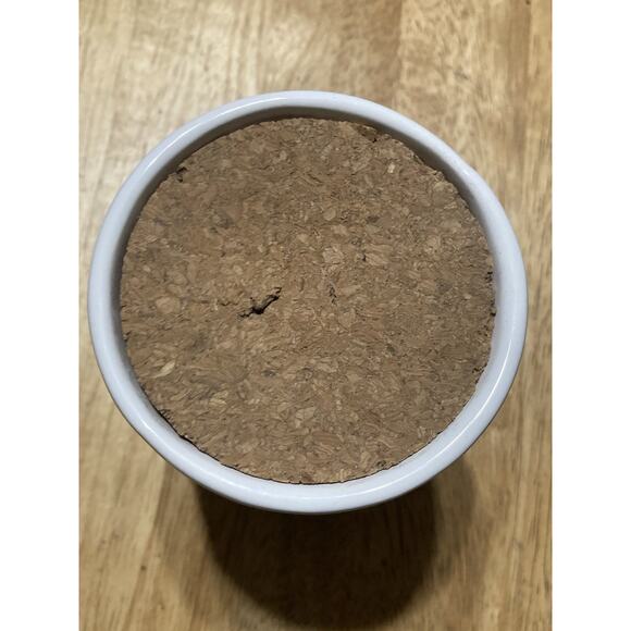 Mud Pie Blessings Jar - Creamy white with cork top ~ Gratitude Prayer Dreams - Picture 2 of 4